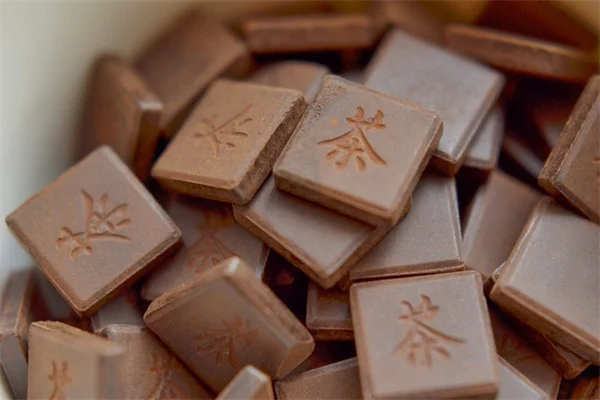 キカタバミは食べられる！その効能と活用方法を経験者が解説