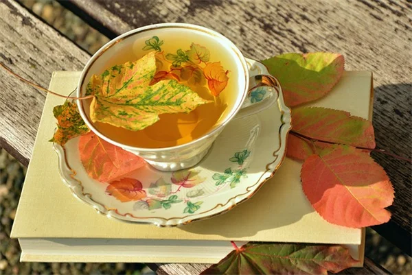 自然駆蜂方法を実践！コーヒー粉とエッセンシャルオイルでスズメバチを寄せ付けない方法