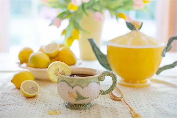 バラの害虫10種類を完全解説！自然な方法で対策するコツ