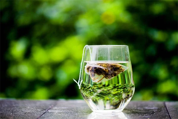 水やりを忘れても大丈夫！トロピカルな観葉植物6選