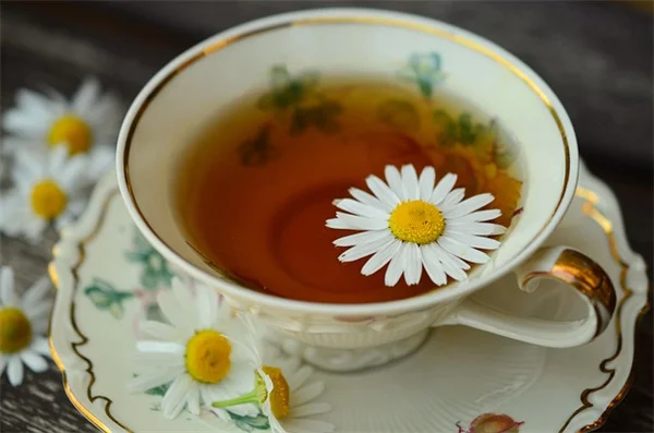 オレンジの花が咲く室内向け観葉植物【5選】選び方と育て方のコツ